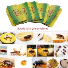These are usually plastic discs or boxes and are effective wherever they are placed within the home. Baiwka 5 Pack Cockroach Bait Trap 2019 Glue Trap Sticker Non Toxic And Eco Friendly Pest Control Catcher Roaches Ants Spiders And Other Bugs Insects For Home Kitchen Cupboard Cabinet Restaurant Insect Control Ecog Garden