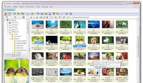 An efficient multimedia viewer, organizer and converter for windows. Xnview Latest Version Free Download The Pc Downloads