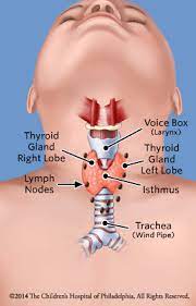 diffeiated thyroid cancer