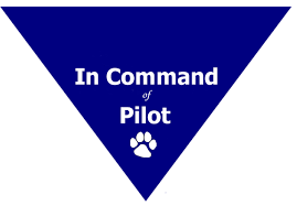 In Command Of Pilot Triangle Bandana Small