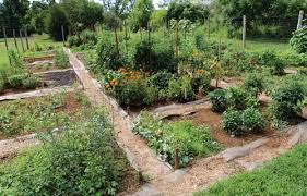 Old Trail Community Garden Takes Root