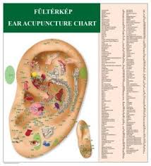 Ear Acupuncture Chart Vat Not Included