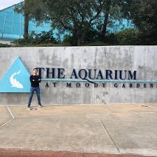 photos at moody gardens aquarium