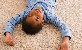 pinnacle carpet cleaning omaha in