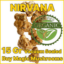 We stock only the best magic mushroom. Nirvana Psilocybe Magic Truffles Buy Magic Mushrooms Com