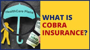 By law, you can be charged 100% of the plan's premiums, plus up to a 2% administrative fee. Health Insurance Cobra And Cal Cobra Explained What Are Pros And Cons Healthchoice