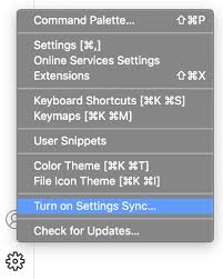 settings sync in visual studio code
