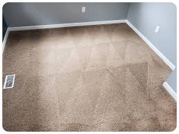 hypoallergenic carpet cleaning carpet