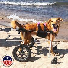 full support dog wheelchair al by