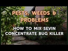 how to mix sevin concentrate bug