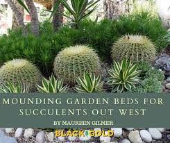 mounding garden beds for succulents out
