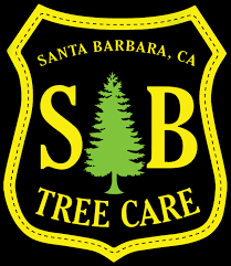 Based in santa barbara, california, we have proudly served and provided expert tree services for over 20 years of commercial and residential service. Santa Barbara Tree Service Expert Trimming And Removal