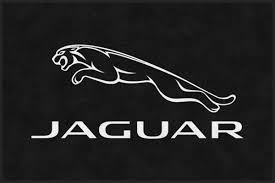 custom jaguar logo rug rug rats