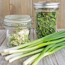 to dehydrate scallions or green onions