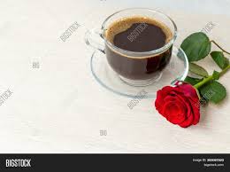 We wake you one hundred most romantic words of farewell quotes ever with word of farewell good morning meme these rose images are a perfect way of wishing good morning to someone. Close Selective Focus Image Photo Free Trial Bigstock