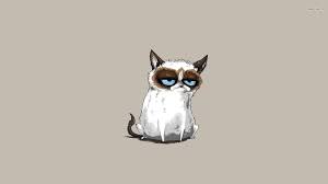 grumpy cat wallpapers wallpaper cave