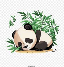 cute panda panda sleeping bamboo