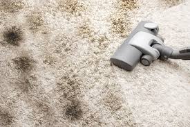 carpet cleaning services wisepro