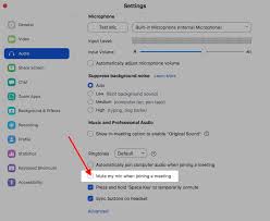 how to mute zoom meeting the most