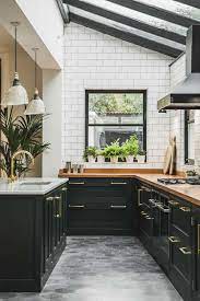 Houzz Kitchen Trend Can You Live