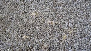 carpet bleach stain diy carpet dyeing