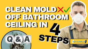 You are in the right place. How To Clean Mold Off Bathroom Ceiling In 4 Steps Htht