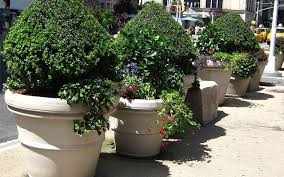 Extra Large Outdoor Planters