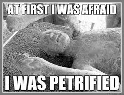 AT FIRST I WAS AFRAID I WAS PETRIFIED - Petrified - quickmeme via Relatably.com
