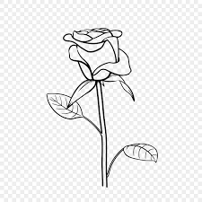 lineart rose flower branch flower