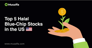 top 5 halal blue chip stocks in the us