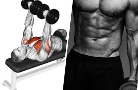 dumbbell chest workout