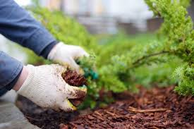 the benefits of spring mulching