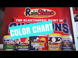 Rain Or Shine Elastomeric Paint Color