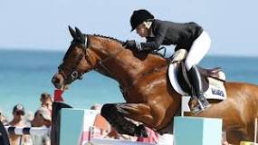 how-much-is-a-top-show-jumping-horse