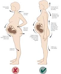 Your lower extremity is everything from your hip to your toes, including your hip, thigh, knee, leg, ankle, foot, and toes. Backache And Pain In Pregnancy Hse Ie