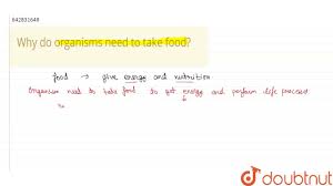 Why do organisms need to take food? | Class 7 Biology | Doubtnut - YouTube
