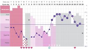 24 Proper Fertility Chart App