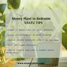 money plant vastu benifits and