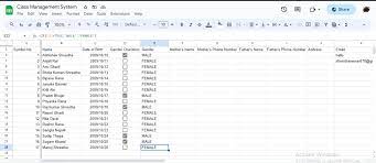 management system with excel