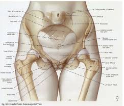 female urinary incontinence and