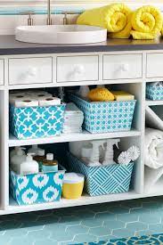 under bathroom sink storage ideas