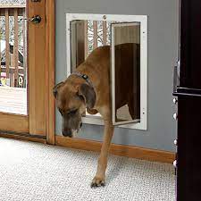 door finder choosing a dog door