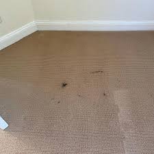 carpet cleaner preston