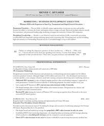 i buy college essay examples of good objective sentence for resume       Sample Resume Sales Executive Position Templates Free Samples Alexa Best      Best Free Home Design Idea   Inspiration