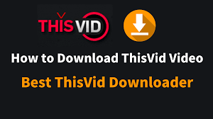 How to Download Video from ThisVid Using the Best ThisVid Downloader