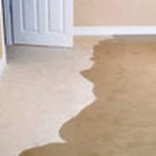 precision carpet upholstery cleaning