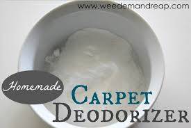 homemade peppermint carpet deodorizer