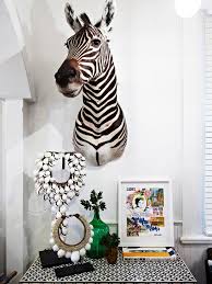 Lurrrrrvve Zebra Rug Taxidermy Decor