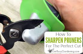 How To Sharpen Pruning Shears For The
