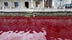 china s wenzhou river turns red